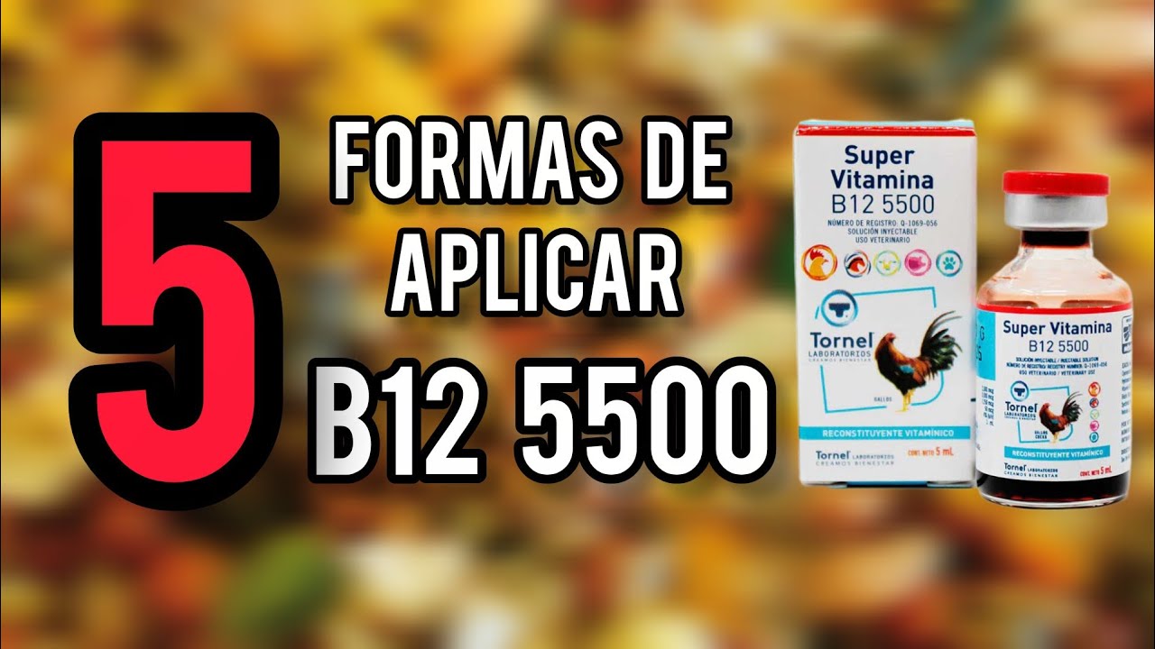  Como aplicar vitamina B12 5500 en gallos[ 5 formas de aplicar super vitamina B12 5500 Tornel ]🐓