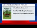 Man in drug court program charged with growing marijuana in Copiah County