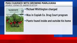 Man in drug court program charged with growing marijuana in Copiah County