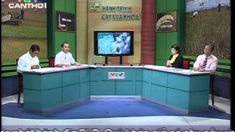 Kỳ 44   Quản lý cỏ và ốc bươu vàng htclk