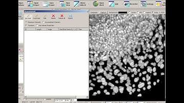 3D distance & angle measurement