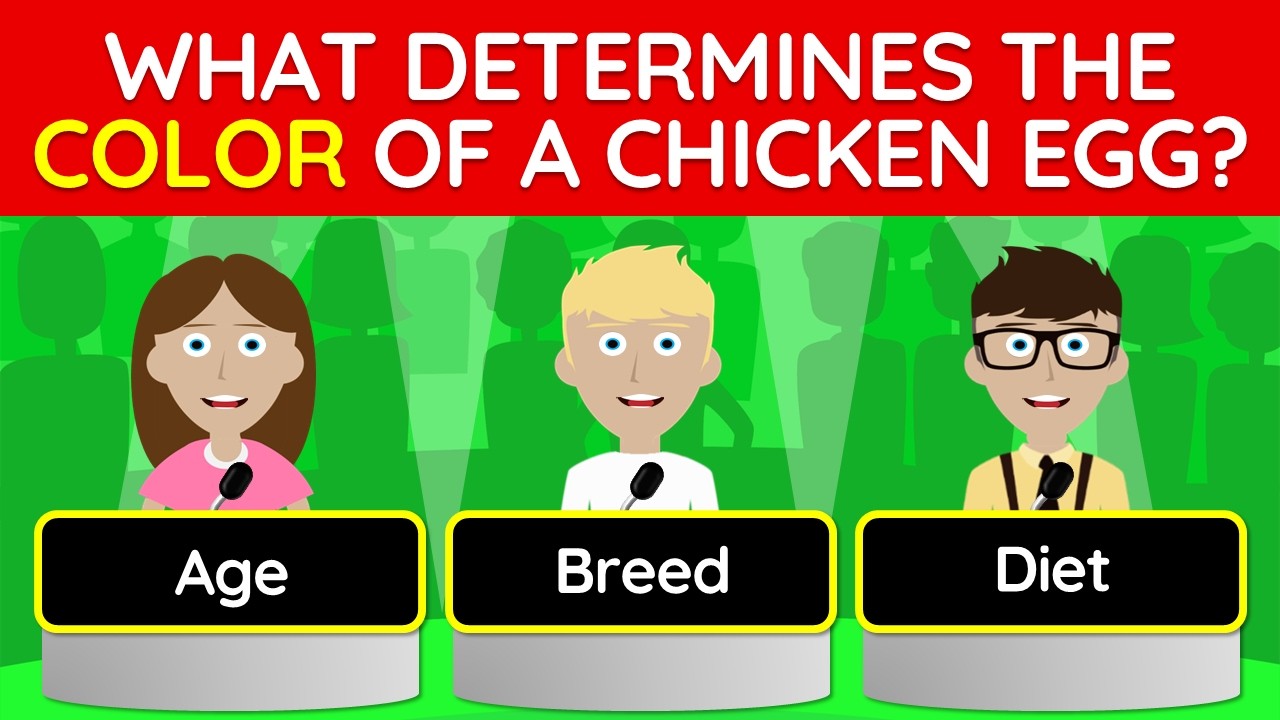 👉 Проверьте свои общие знания! (40 вопросов разных категорий) | 26-031