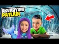 POYRAZ ELİF AKVARYUMDA CAMLAR KIRILDI!!!