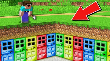 Minecraft NOOB vs PRO: NOOB DIGGING DIRT AND FOUND LOT OF RARE DOORS IN VILLAGE 100% trolling