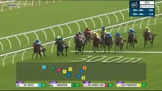 Tempted - Riesling Stakes 2Yo 1200M Group 2 2025 - Ridden By James Mcdonald