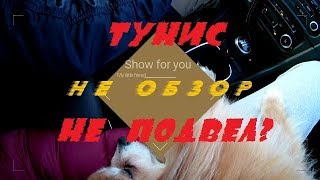 Итоги по Тунису, куда дальше? Не ОБЗОР шоу 18+ без купюр Итоги по Тунису, куда дальше? Не ОБЗОР шоу 18+ без купюр