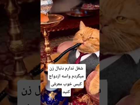 اق بابا دنبال کیس ازدواجی هستن    البرزخ   ازدواج عروس  المراه