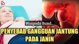 Download Lagu Hal yang Bisa Menyebabkan Gangguan Pada Jantung Janin MP3