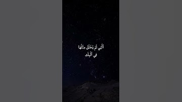 * سورة الفجر* القارئ : ماهر المعيقلي* Surah Al-fajr* Reader : Maher Al-Mu'aiqly