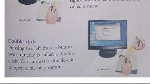 Class 2/ICSE/Computer Science/Session 10