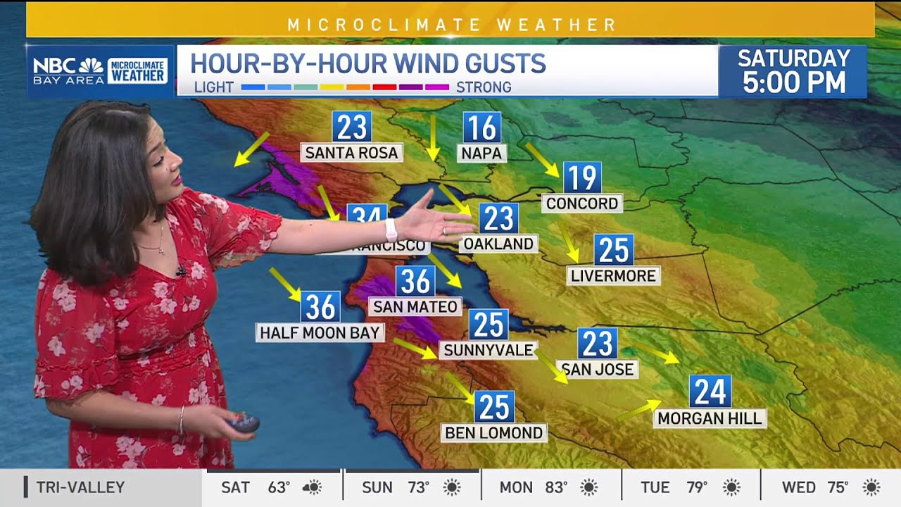 Bay Area forecast: Windy coast - YouTube