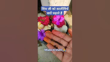 शिव जी को कालीमिर्च क्यों चढ़ाई जाती है🙏#shortsfeed #shivpurankatha#pradeepjimishra#trending #shorts