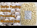 Garlic Peeling Packing Processing Machine line #garlic #peeler #peeling
