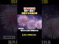 日本の花火を世界に輸出したい!老舗花火企業の挑戦#shorts
