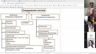 Артрология: продолжение