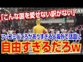 【海外の反応 賞賛】素敵だ!!「こんな国を愛せない訳がない」 日本が色々と自由すぎると海外で話題に!!【海外の反応Lab】