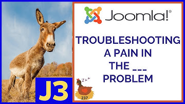 Troubleshooting a Pain in the . . . Problem - 👀 WMW 237