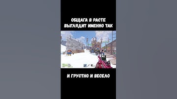 Rust / Общага в Расте выглядит именно так / #shorts #rust
