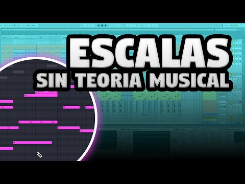 Usa Escalas En Ableton Live 11 Facilmente Como Crear Acordes 2023