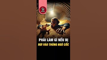 Rơi Vào Thùng Ngũ Cốc – Làm Sao Để Sống Sót? ⚠️ #shorts #kiếnsĩ