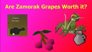 [OSRS] Are Zamorak Grapes Efficient for Ironman?