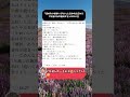 「産めない嫁に価値はない」と言われた日から7年双子を抱いて義母に言ったひと言😌