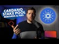 Cardano Stake Pool Rewards And Fees (How To Pick The Best Stake Pool)