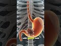 What Happen Inside Your Body When You Eat Dates