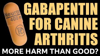 GABAPENTIN FOR CANINE ARTHRITIS  MORE HARM THAN GOOD?