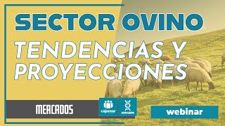 Tendencias y proyecciones en el sector ovino