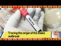 Tracing the origin of the Ebola outbreak
