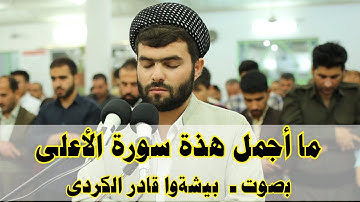 سورة الأعلى - بيشةوا قار الكردى