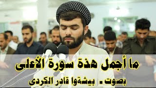 سورة الأعلى - بيشةوا قار الكردى