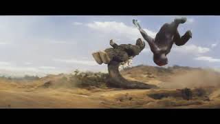 Full Kong Flip News