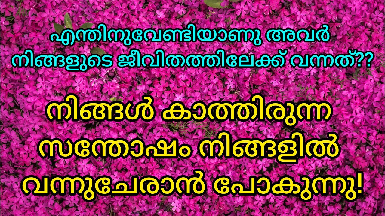✨🧿എന്തിനുവേണ്ടിയാണു അവർ നിങ്ങളുടെ ജീവിതത്തിലേക്ക് വന്നത്?? @Tarastarot1111 #tarastarot1111 #tarot