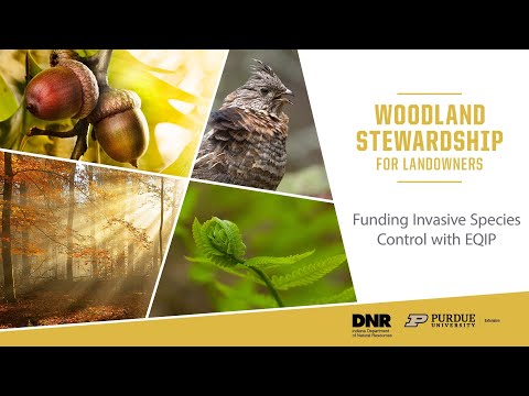 Woodland Stewardship for Landowners: EQIP (FNR 587 WV)