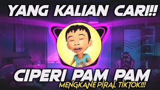 DJ CIPERI PAM PAM VIRAL TIKTOK TERBARU 2022 - DJ YANG KALIAN CARI!!