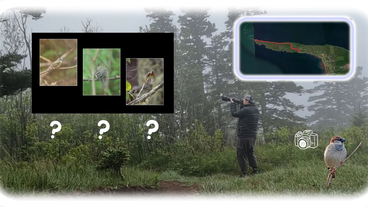 Hiking CAPE SPLIT and looking for BIRDS ! (POV Bird Photography in Nova Scotia)