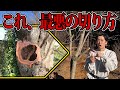 【これだけは覚えて】木が枯れてしまうダメな切り方を紹介します。