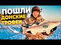 ЧУТЬ УДОЧКУ НЕ СЛОМАЛ! рыбалка на Дону! Ловля судака на вибы! Рыбалка с эхолотом практик 6м