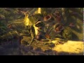 The Pirate Fairy Full Movie Part 4 Of 20