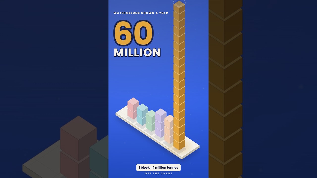 Watch China grows 60 million tonnes of watermelons a year. Turkey, in second place, grows 3.4 on YouTube Watch China grows 60 million tonnes of watermelons a year. Turkey, in second place, grows 3.4 on YouTube