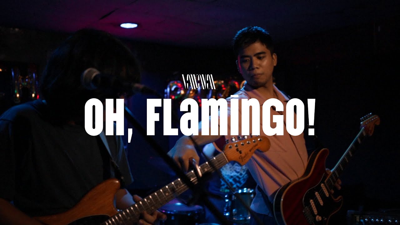 Oh, Flamingo! | Breach: A Single Launch by Parti.