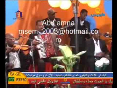 محمود عبد العزيز الودعو ارتحلو
