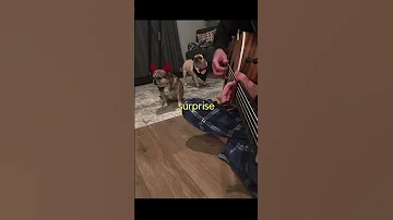 She Said You Think The Devil Has Horns 