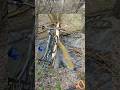 Переправа #metaldetecting #metaldetector #знахідки #находки #металодетектор #пошуківець #копвпосадке
