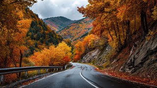 видео: Прекрасная осенняя музыка 🍁 Успокаивает душу нежными мелодиями картинка: Прекрасная осенняя музыка 🍁 Успокаивает душу нежными мелодиями