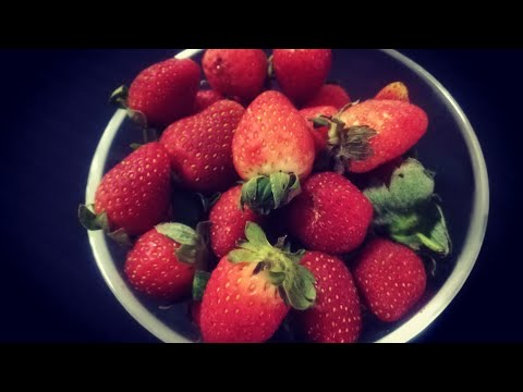 Video: Cara Menyimpan Strawberi Dengan Betul. Bahagian 1