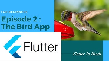 Flutter || Bird App Part-2 || App For Android & iOS | Beginners | Dart