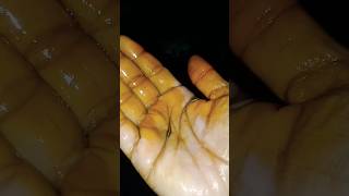 lata March cha 🦈🐳🐬#trending song#and fish video#subscribe to my chlen 🐳🐬🦈 lata March cha 🦈🐳🐬#trending song#and fish video#subscribe to my chlen 🐳🐬🦈